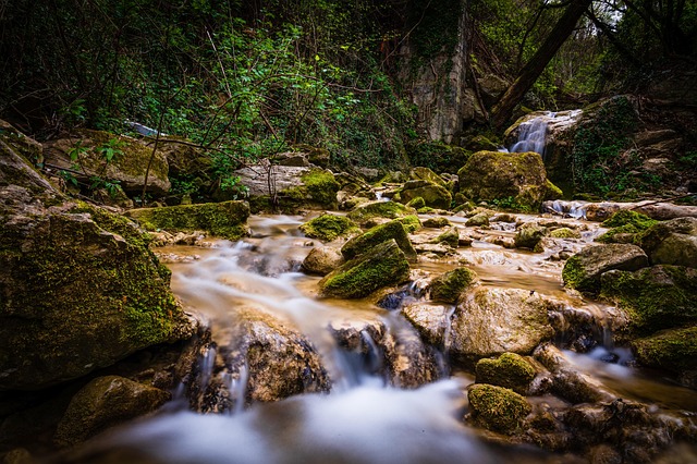 Waterfall in lush forest